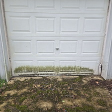 Complete-Exterior-Cleaning-Package-Delivered-in-Calhoun-County 4